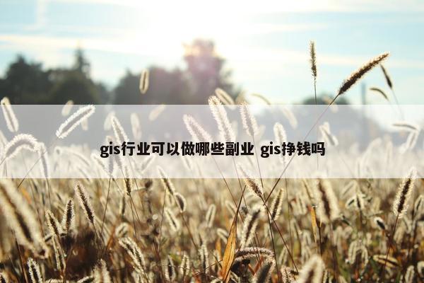 gis行业可以做哪些副业 gis挣钱吗