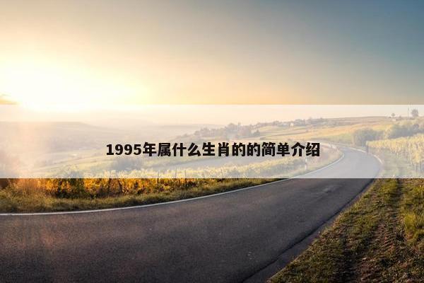 1995年属什么生肖的的简单介绍