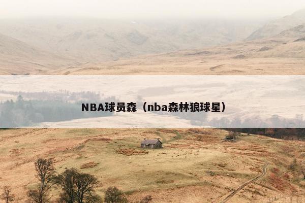 NBA球员森（nba森林狼球星）