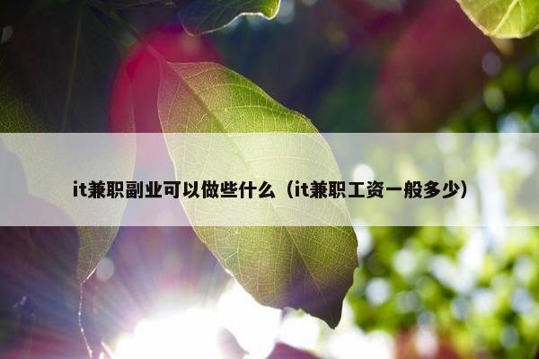 it兼职副业可以做些什么（it兼职工资一般多少）