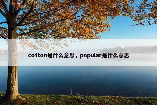 cotton是什么意思，popular是什么意思