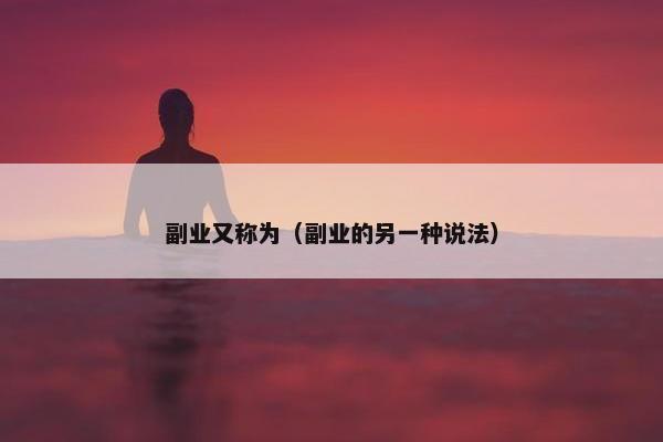 副业又称为（副业的另一种说法）