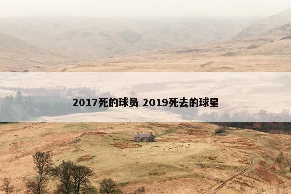 2017死的球员 2019死去的球星