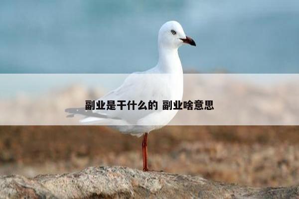 副业是干什么的 副业啥意思