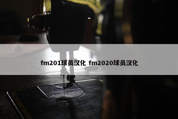 fm201球员汉化 fm2020球员汉化