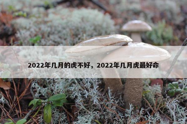 2022年几月的虎不好，2022年几月虎最好命