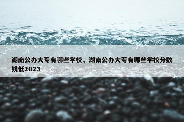 湖南公办大专有哪些学校，湖南公办大专有哪些学校分数线低2023