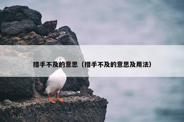 措手不及的意思（措手不及的意思及用法）