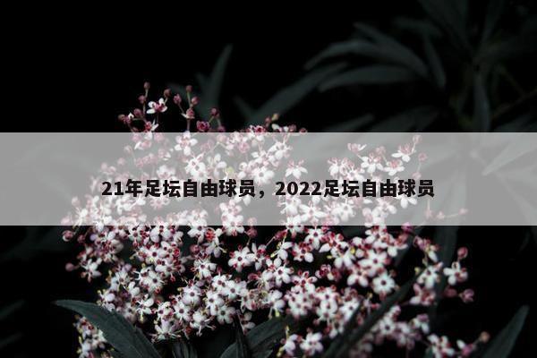 21年足坛自由球员，2022足坛自由球员