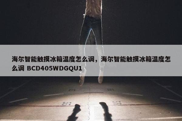 海尔智能触摸冰箱温度怎么调，海尔智能触摸冰箱温度怎么调 BCD405WDGQU1