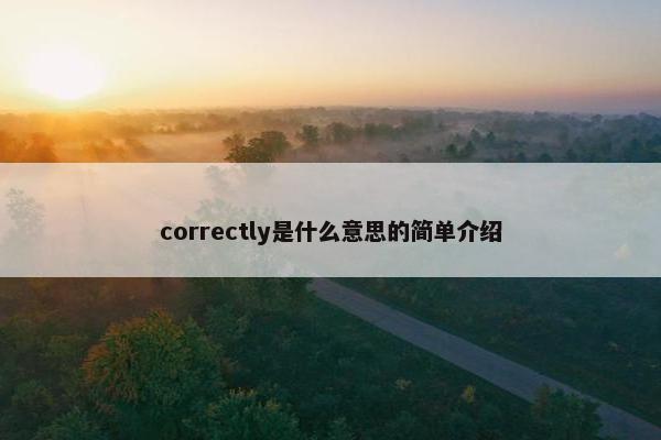 correctly是什么意思的简单介绍