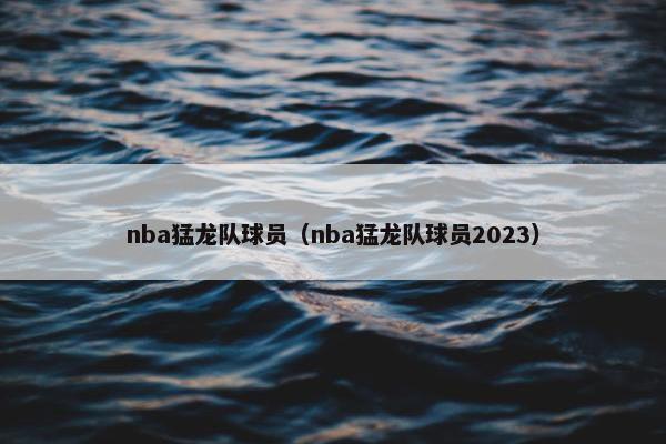 nba猛龙队球员（nba猛龙队球员2023）