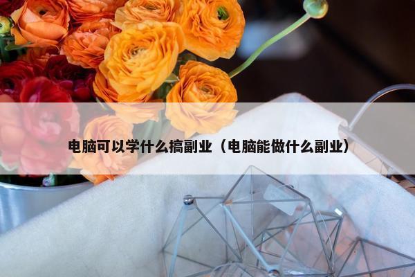 电脑可以学什么搞副业（电脑能做什么副业）