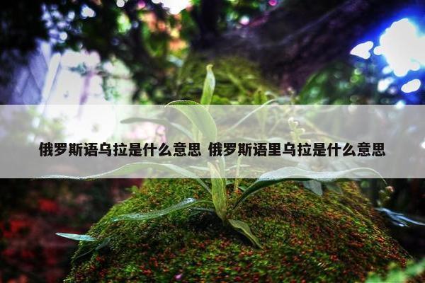 俄罗斯语乌拉是什么意思 俄罗斯语里乌拉是什么意思