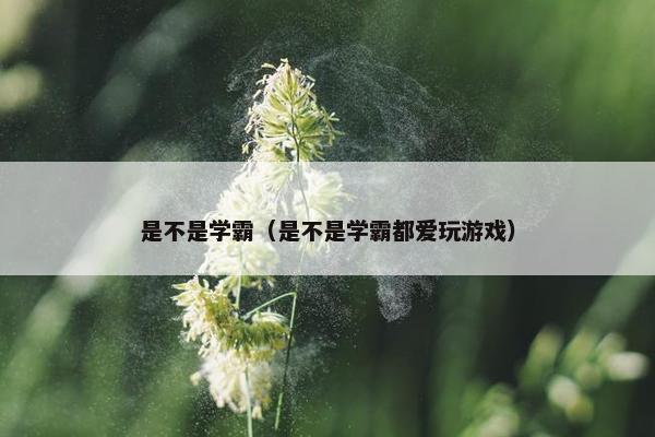 是不是学霸（是不是学霸都爱玩游戏）