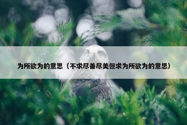 为所欲为的意思（不求尽善尽美但求为所欲为的意思）