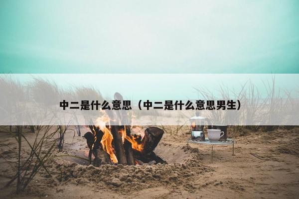 中二是什么意思（中二是什么意思男生）