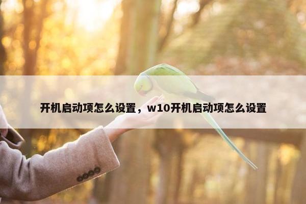 开机启动项怎么设置，w10开机启动项怎么设置