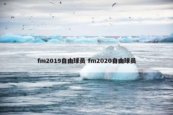 fm2019自由球员 fm2020自由球员