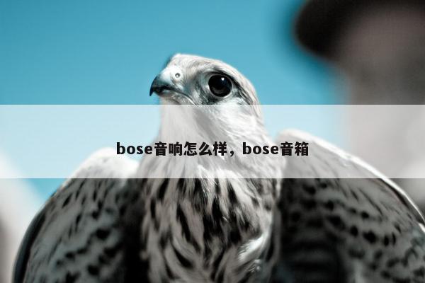 bose音响怎么样，bose音箱