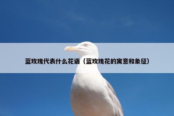 蓝玫瑰代表什么花语（蓝玫瑰花的寓意和象征）