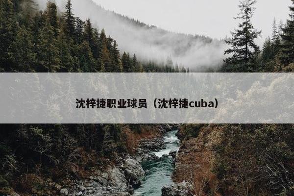 沈梓捷职业球员（沈梓捷cuba）