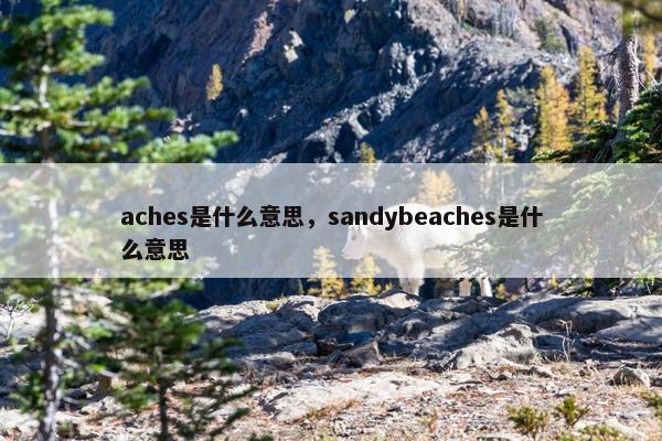 aches是什么意思，sandybeaches是什么意思