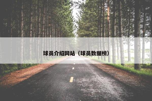 球员介绍网站（球员数据榜）