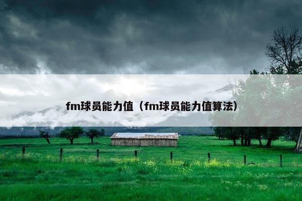 fm球员能力值（fm球员能力值算法）