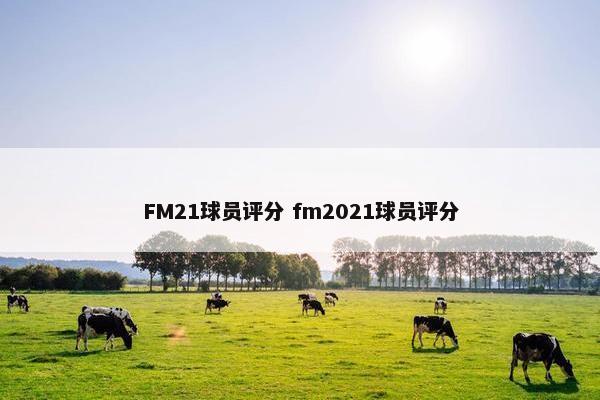 FM21球员评分 fm2021球员评分