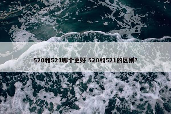 520和521哪个更好 520和521的区别?