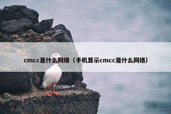 cmcc是什么网络（手机显示cmcc是什么网络）