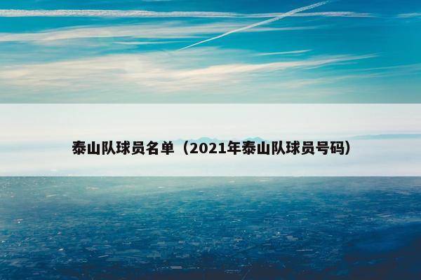 泰山队球员名单（2021年泰山队球员号码）