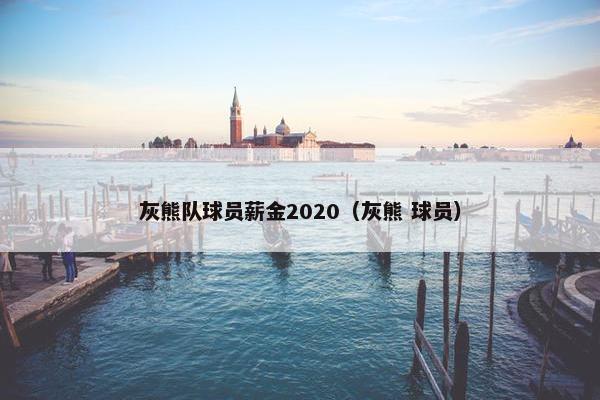 灰熊队球员薪金2020（灰熊 球员）