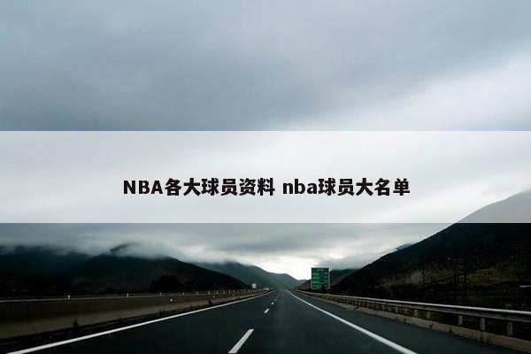 NBA各大球员资料 nba球员大名单