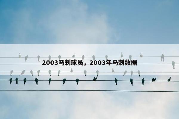 2003马刺球员，2003年马刺数据