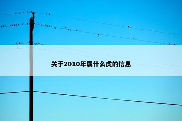 关于2010年属什么虎的信息