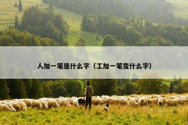 人加一笔是什么字（工加一笔变什么字）