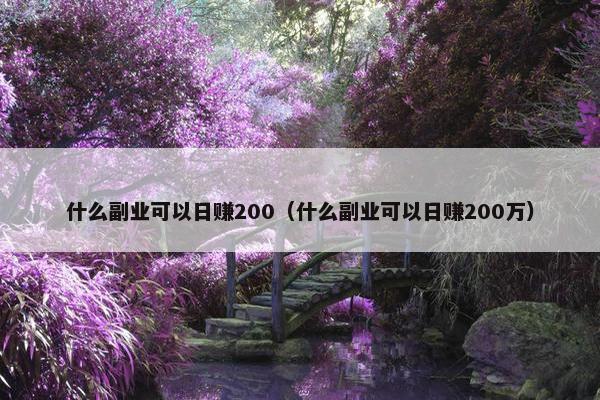 什么副业可以日赚200（什么副业可以日赚200万）