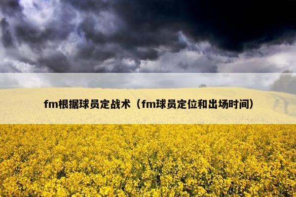 fm根据球员定战术（fm球员定位和出场时间）