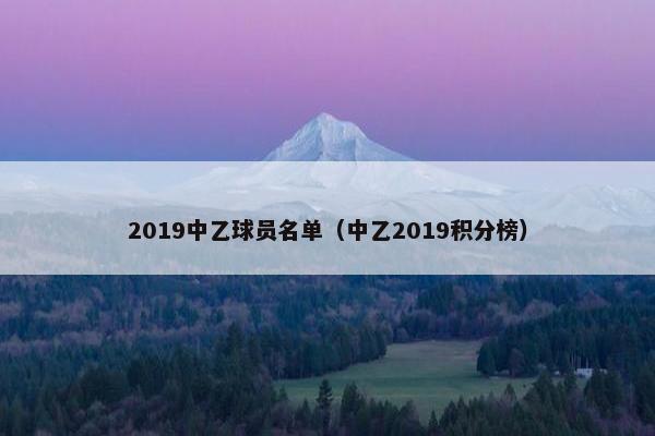 2019中乙球员名单（中乙2019积分榜）