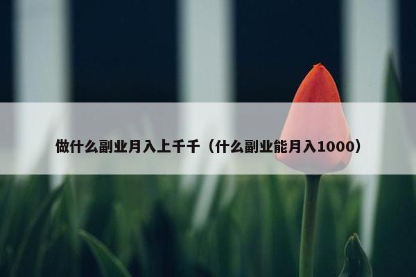 做什么副业月入上千千（什么副业能月入1000）