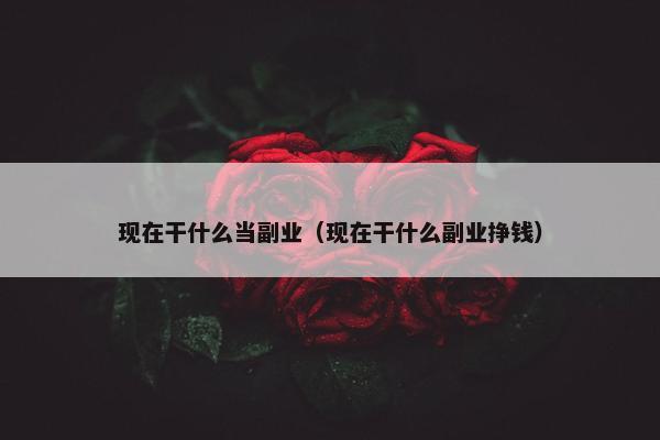 现在干什么当副业（现在干什么副业挣钱）