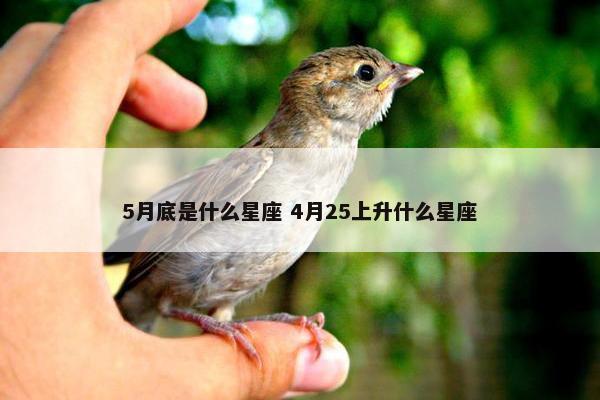 5月底是什么星座 4月25上升什么星座