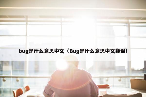 bug是什么意思中文（Bug是什么意思中文翻译）