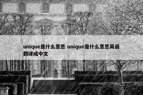 unique是什么意思 unique是什么意思英语翻译成中文