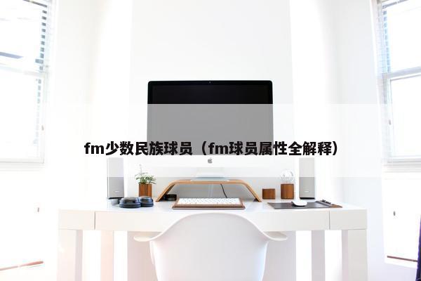 fm少数民族球员（fm球员属性全解释）