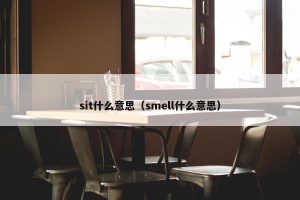 sit什么意思（smell什么意思）