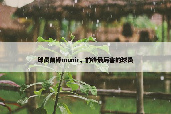 球员前锋munir，前锋最厉害的球员