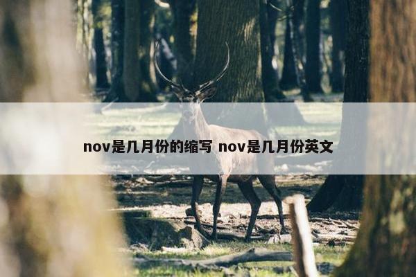 nov是几月份的缩写 nov是几月份英文